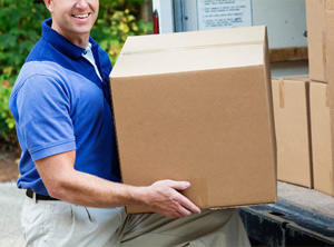 insurance services